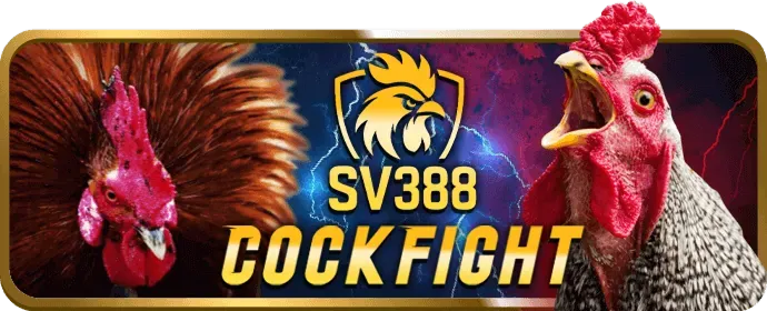 Trận đấu bóng đá sôi động tại 98bet